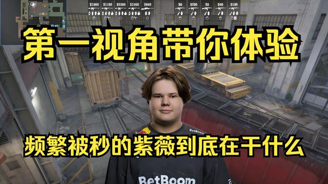 性与动态真 性与动态真